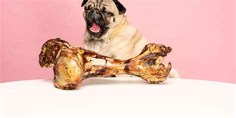 Can Dogs Eat Bones from Pet Store: A Bone to Pick or a Treat to Savor?