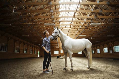 How Much Do Animal Trainers Make: Exploring the Wild Side of Earnings