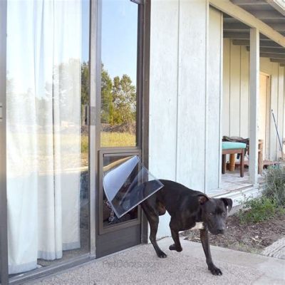 How to Install a Pet Door: A Guide to Feline Freedom and Cosmic Alignment