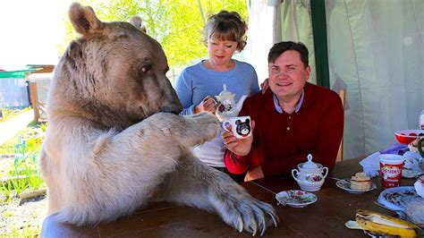 Is it legal to have a pet bear, and can it teach you how to dance the tango?